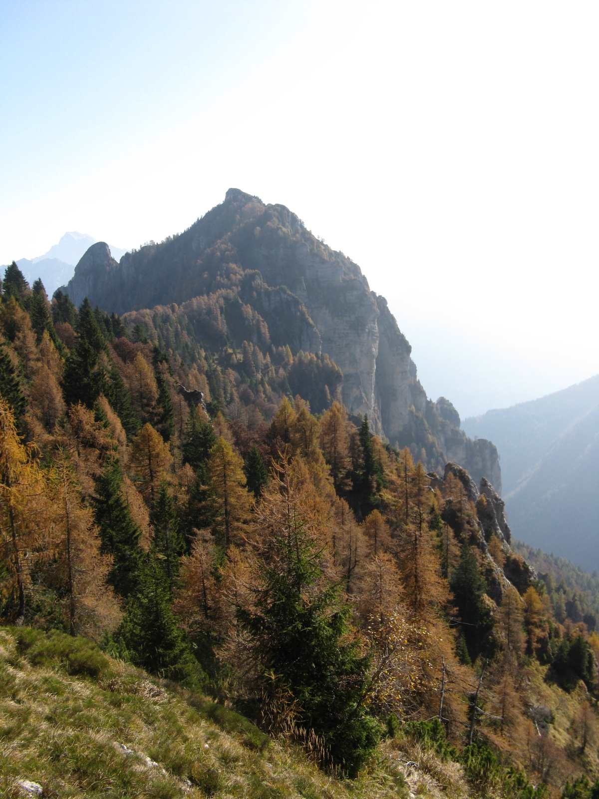 Cimon de Cajada: sulle tracce dei camosci.